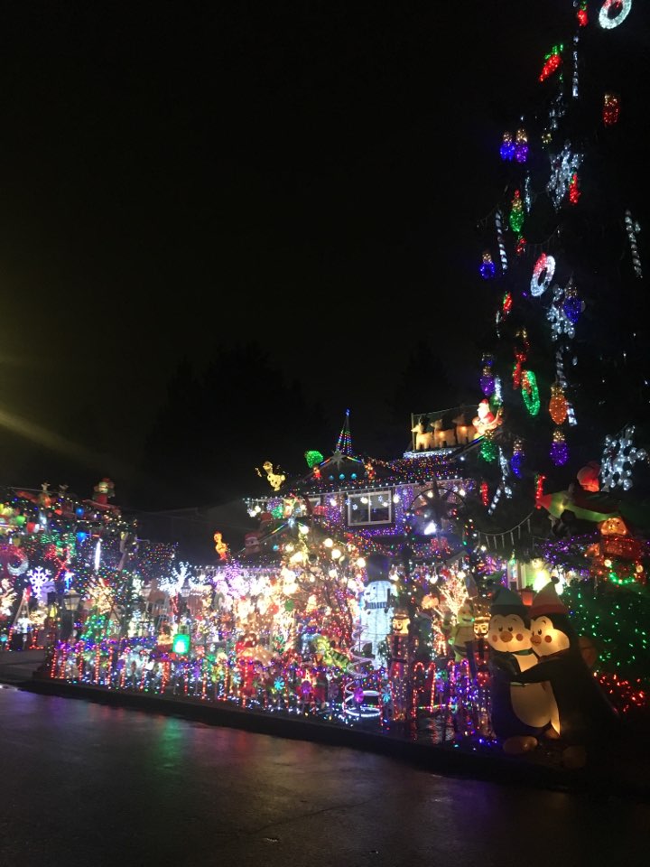 밴쿠버 크리스마스 시즌에 꼭 방문해봐야할곳 Rae Street Lights Herald International Academy