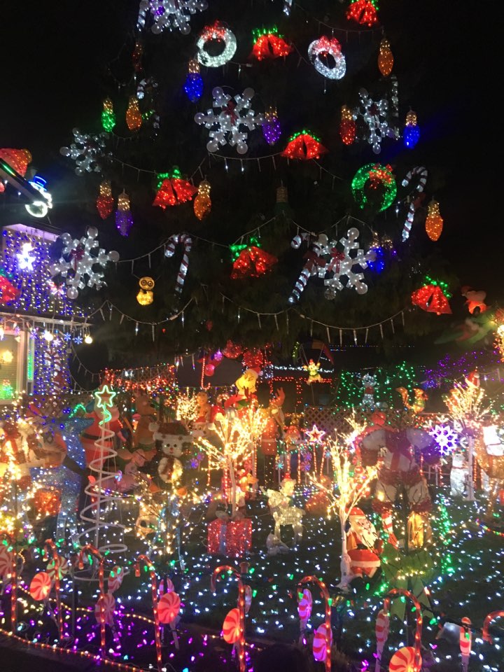 밴쿠버 크리스마스 시즌에 꼭 방문해봐야할곳 Rae Street Lights Herald International Academy